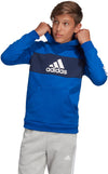Sport ID Pullover kids hoodie