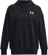 Icon Fleece hoodie