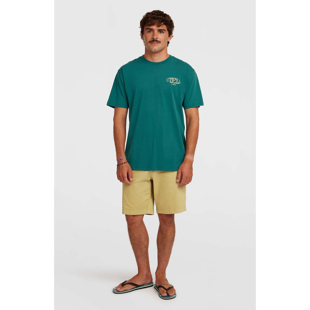 Box Logo T-shirt strand