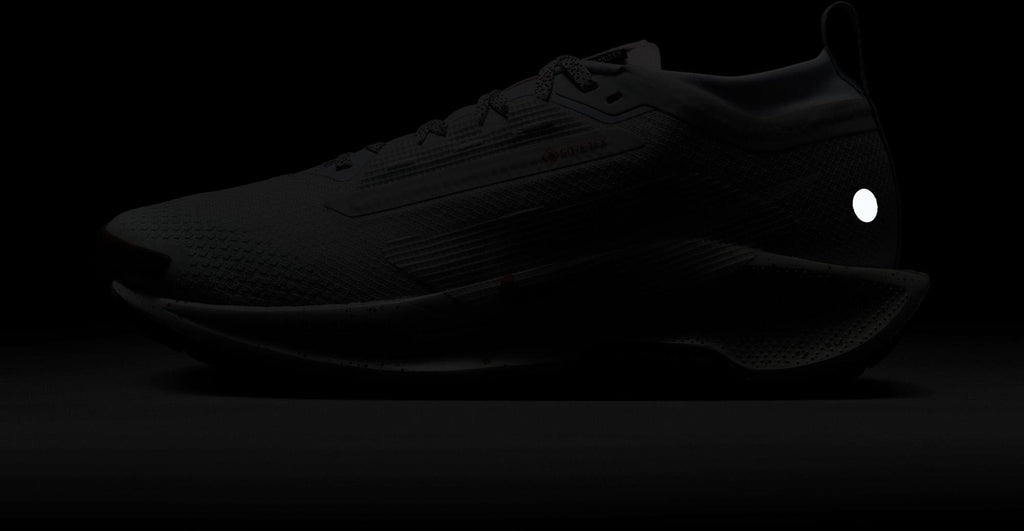 Pegasus Trail 5 gore-tex hardloopschoenen