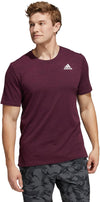 City Elevated T