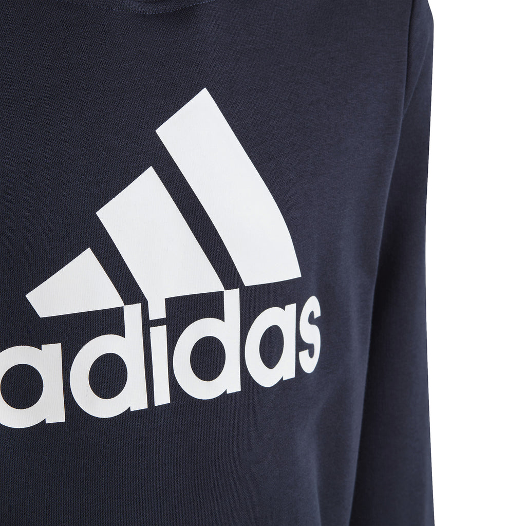 Big Logo Essentials Katoenen hoodie
