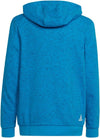 Future Icons 3-Stripes Hooded sweater