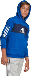 Sport ID Pullover kids hoodie