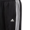 Essentials Trainingspak