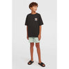 Chino Boardshorts kids
