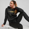 Puma Fit Pwr Flc Po Hoodie
