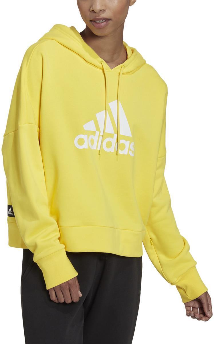 Future Icons Badge of Sport hoodie