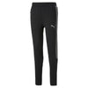 Evostripe Pants