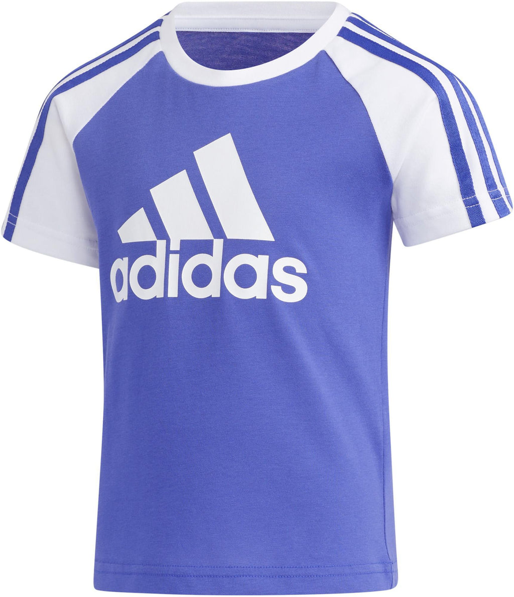 Lg St Bos Tee
