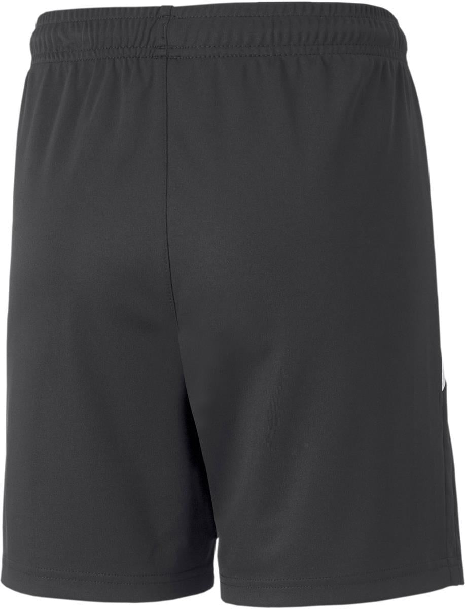 TEAMLIGA TRAINING SHORTS 2 JR, PUMA BLACK-OCEA, 152