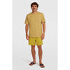 Vert 16 Zwemshort