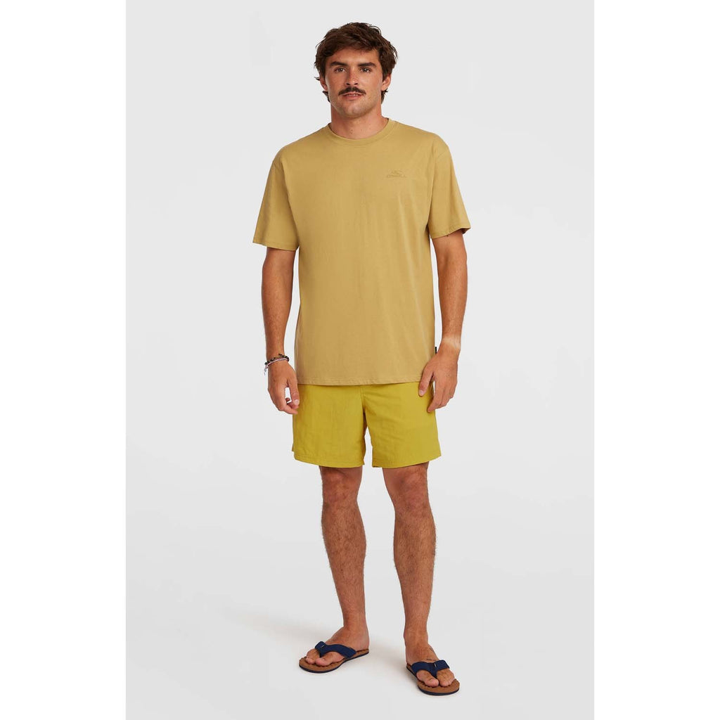 Vert 16 Zwemshort
