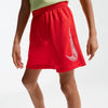 Dri-fit  Multi Shorts