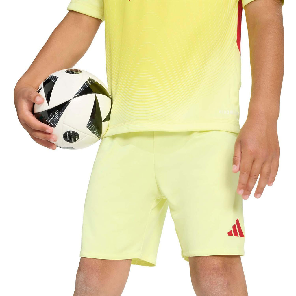 Arsenal 25/26 Goalkeeper Mini-tenue Kids
