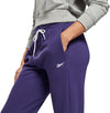 Te Linear Logo Ft Pant