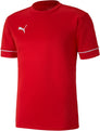 Teamgoal Training shirt