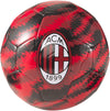 Acm Iconic Big Cat Ball
