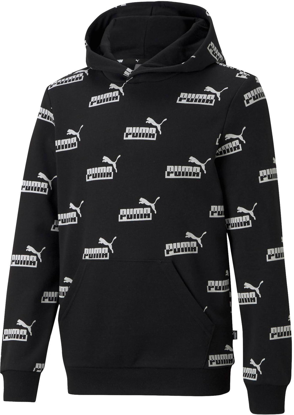 Amplified Hoodie