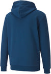 amplified hoodie