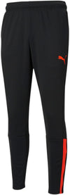 Teamliga Training Pants