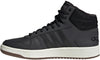 Hoops 2.0 Mid sneakers