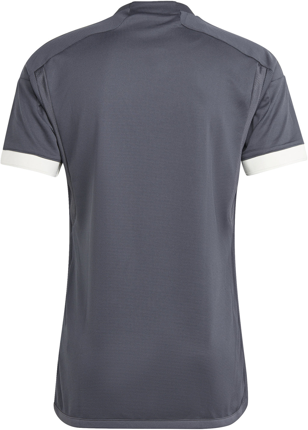 Juventus 23/24 Derde shirt