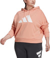 Sportswear Future Icons hoodie (Grote Maat)