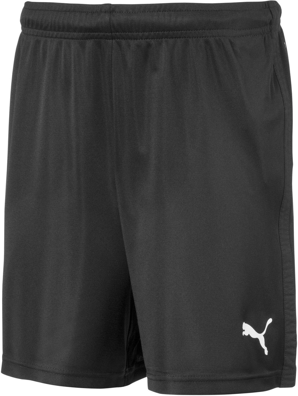 liga training shorts core