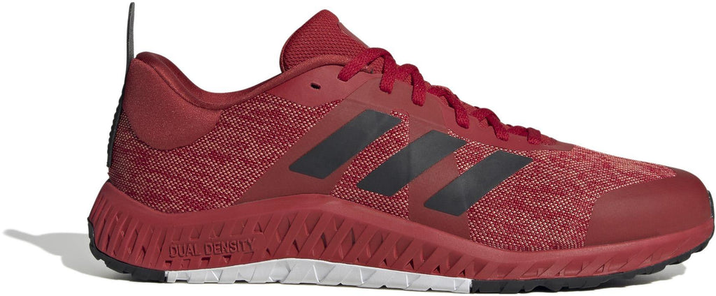 Everyset Trainer