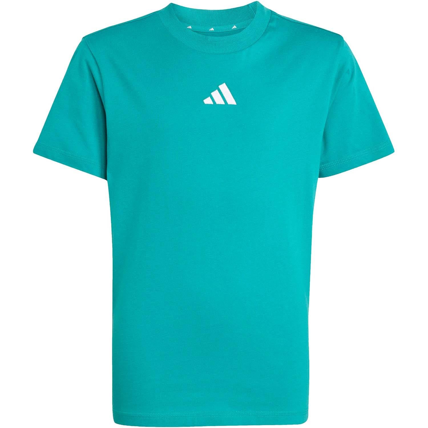 Essentials kids t-shirt