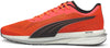 Velocity Nitro