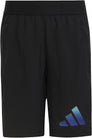 Train Icons AEROREADY Logo short