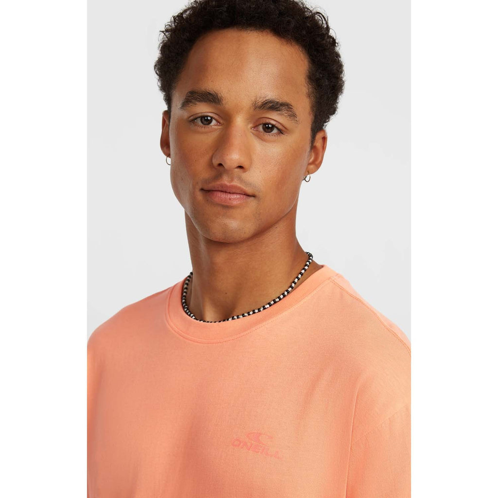 Small Logo T-shirt strand