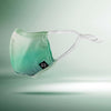 Safety Face Mask