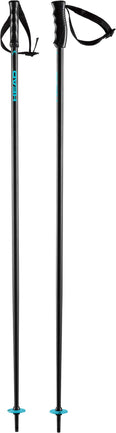 Multi skistokken
