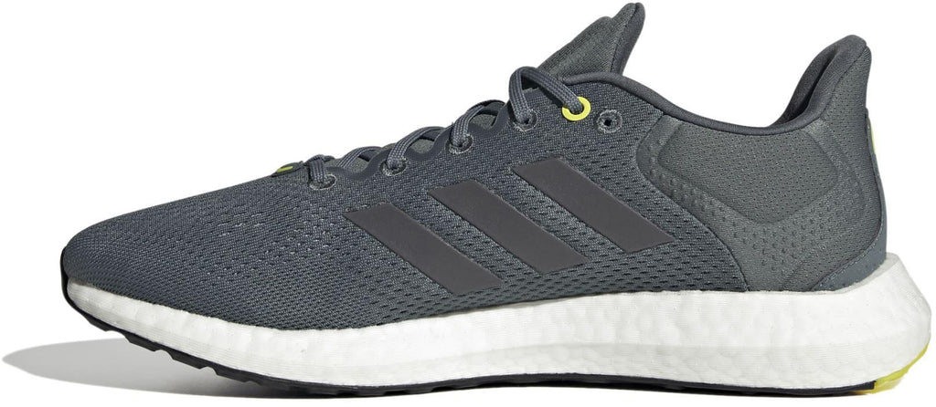Pureboost 21