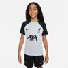 Liverpool FC Dri-FIT Strike shortsleeve top