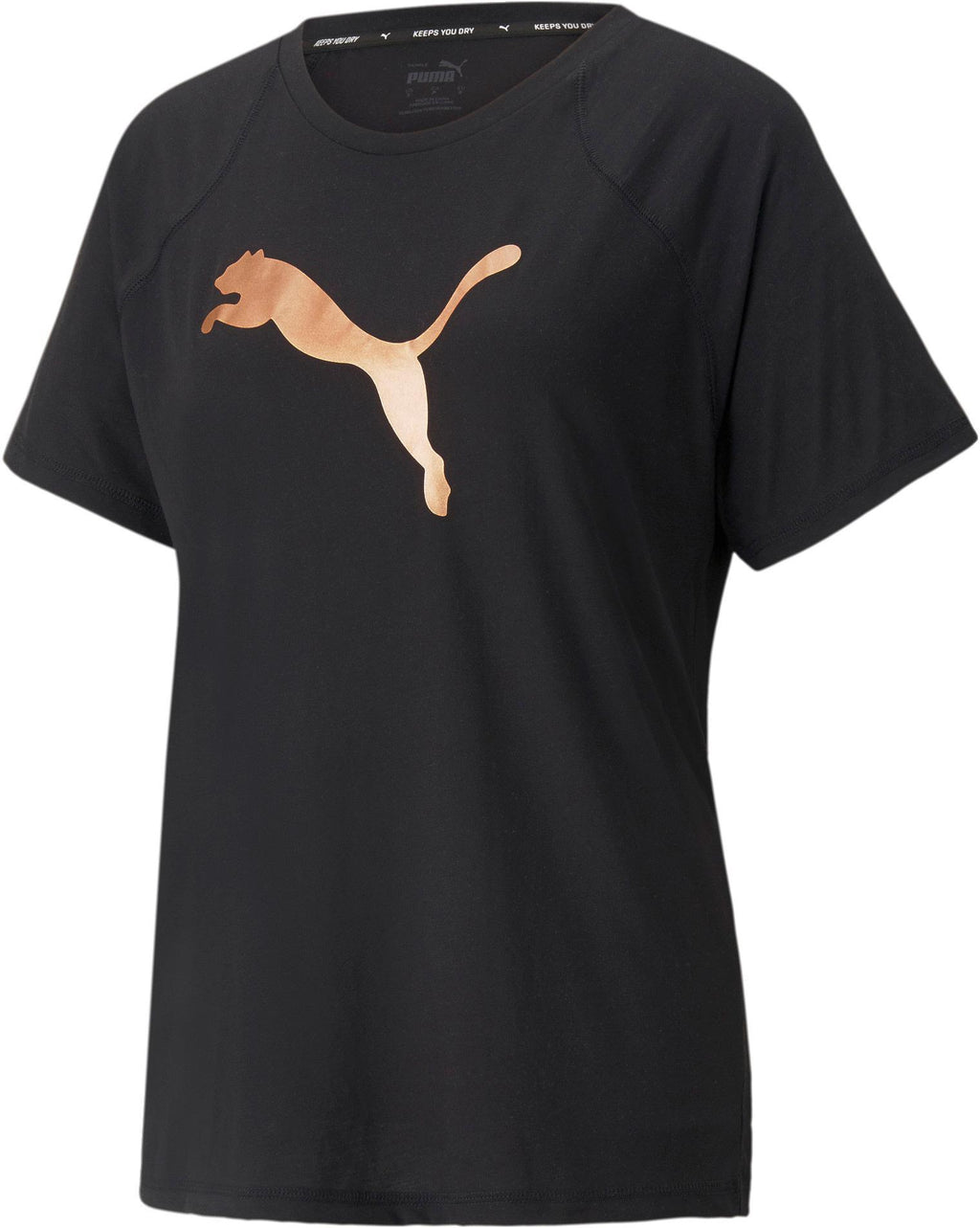 Evostripe Tee