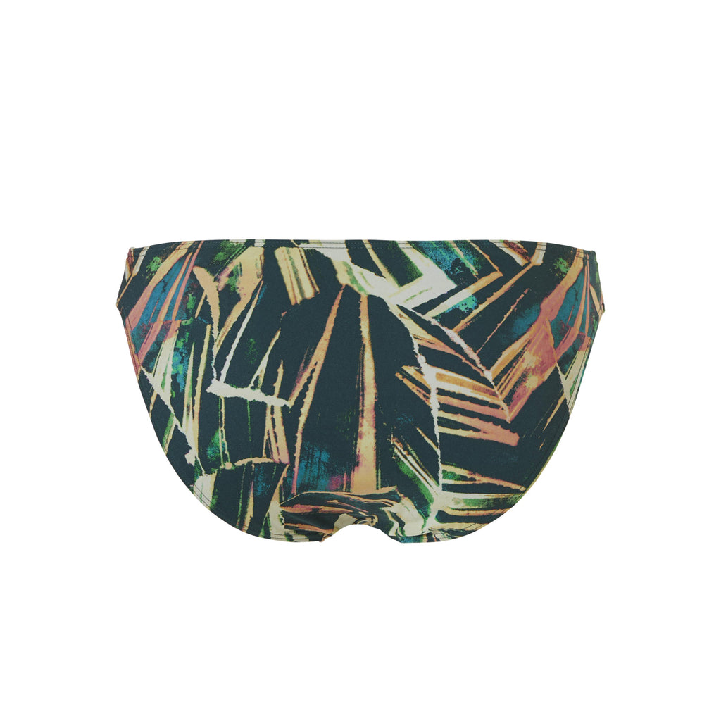 standard bikini brief