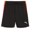 IndividualLIGA Train Short