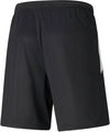 TeamLIGA trainingsshort