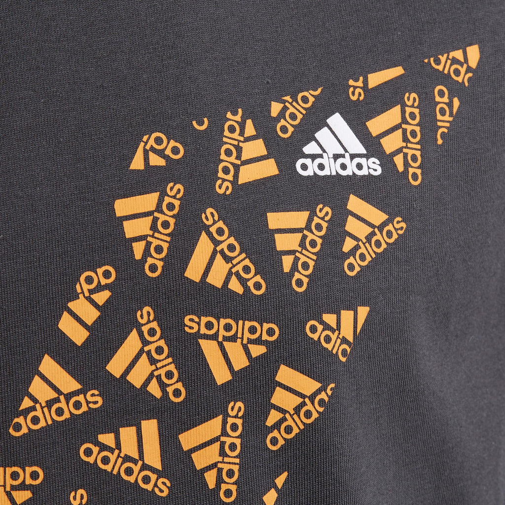 Graphic kids t-shirt