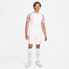 Nike Dri-FIT Academy Men's Soc