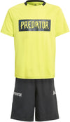 B A.r. Pred Set
