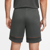 Dri-FIT Academy short