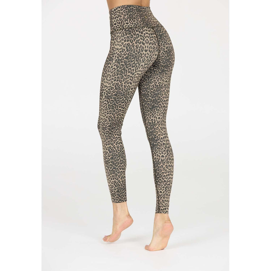 windia w printed tights