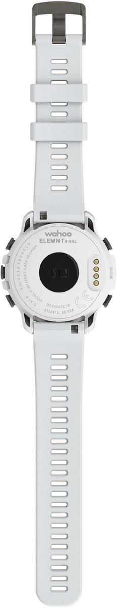 Elemnt Rival Gps Watch Kona White