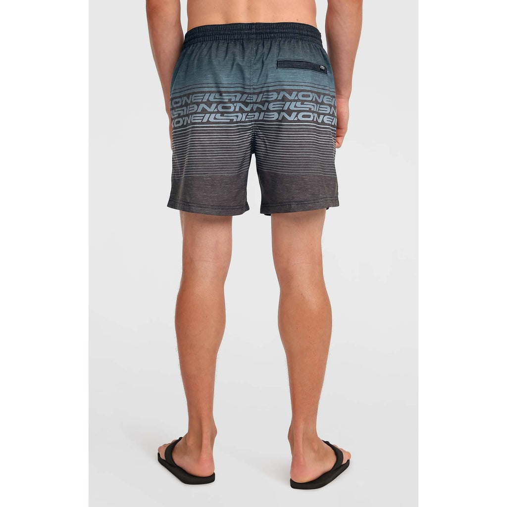 Logo Stripe 16 Zwemshort