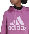 W BL FL HDDa. Kapuzensweater